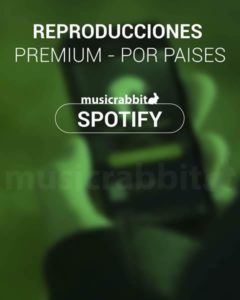 Reproducciones Spotify Premium